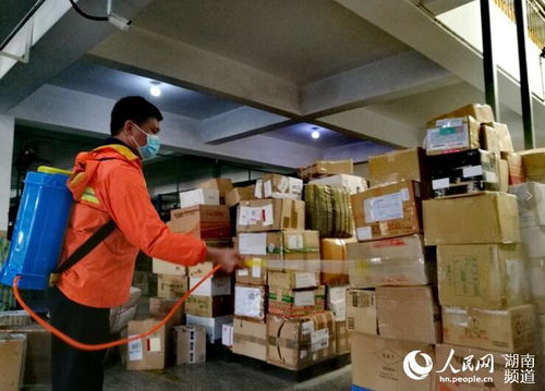 國(guó)際EMS郵件數(shù)量激增，醫(yī)療物資與蔬菜占比突出