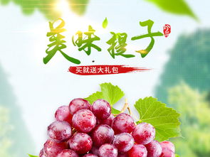 水果葡萄提子菩提水蜜桃主圖直通車(chē)PSD設(shè)計(jì)素材 高清模板下載與食品茶飲應(yīng)用大全