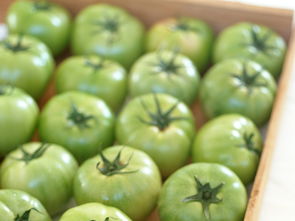 水果特寫(xiě) 從鮮美圖庫(kù)到生活靈感